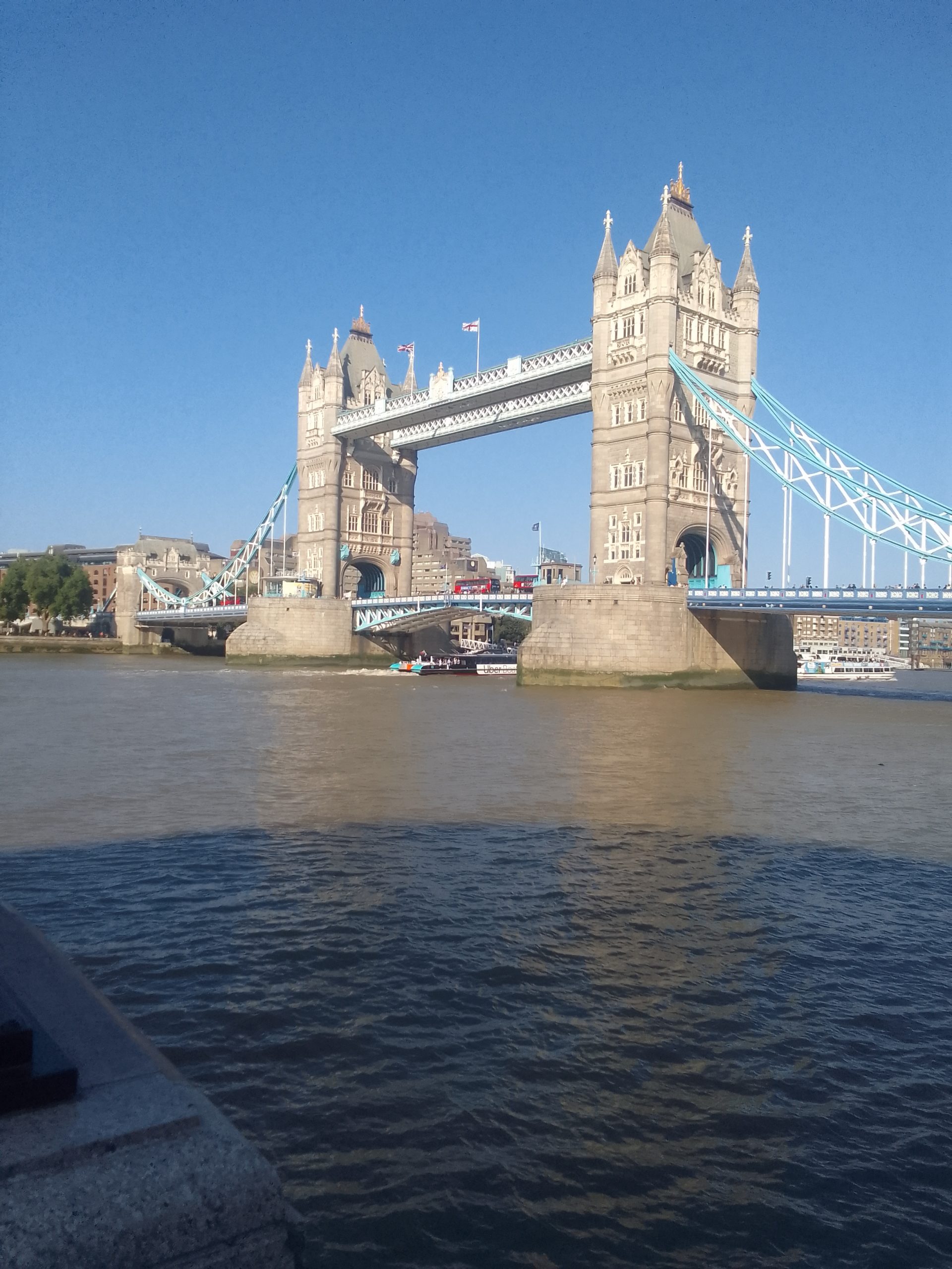 Walk Along the South Bank